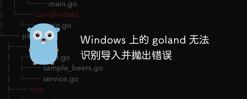 windows 上的 goland 无法识别导入并抛出错误