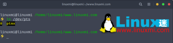 5 个鲜为人知的 Linux 终端提示和实验