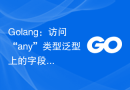 Golang：访问“any”类型泛型上的字段