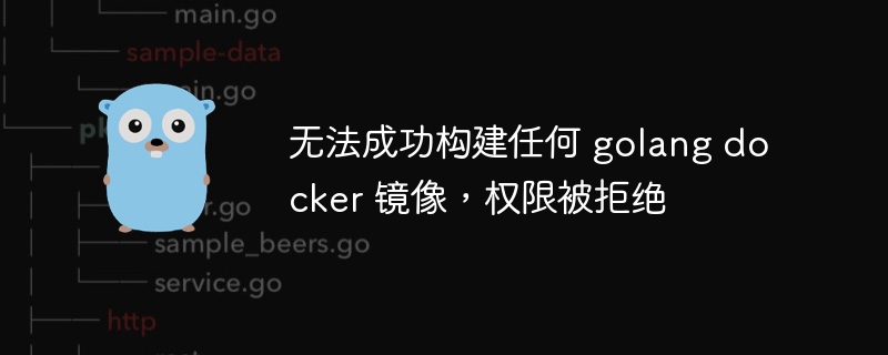 无法成功构建任何 golang docker 镜像，权限被拒绝