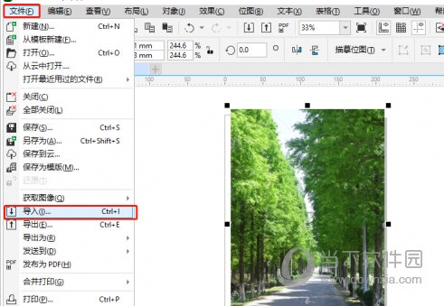 CorelDRAW怎么去除底色 消除方法教程