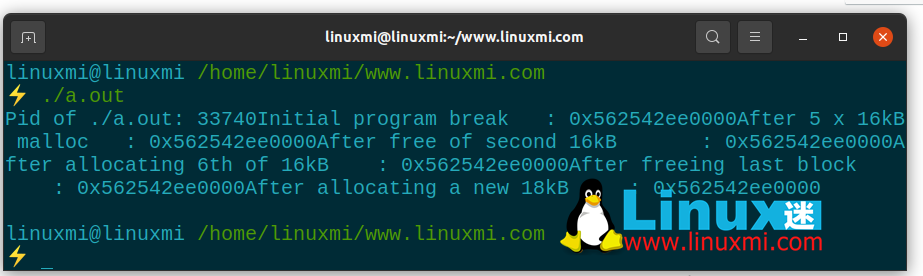 Linux 上内存分配的工作原理