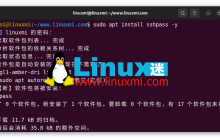 如何在 Linux 中将密码传递给 scp 命令