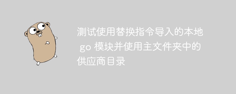 测试使用替换指令导入的本地 go 模块并使用主文件夹中的供应商目录