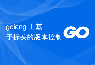 golang 上基于标头的版本控制