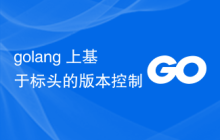 golang 上基于标头的版本控制