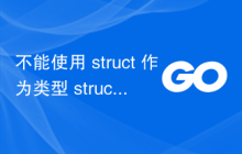 不能使用 struct 作为类型 struct {...}