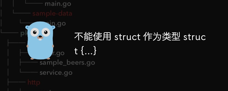 不能使用 struct 作为类型 struct {...}