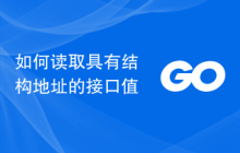如何读取具有结构地址的接口值