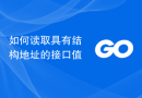 如何读取具有结构地址的接口值