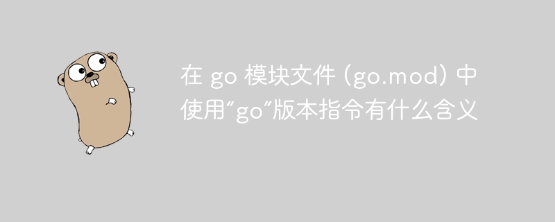 在 go 模块文件 (go.mod) 中使用“go”版本指令有什么含义