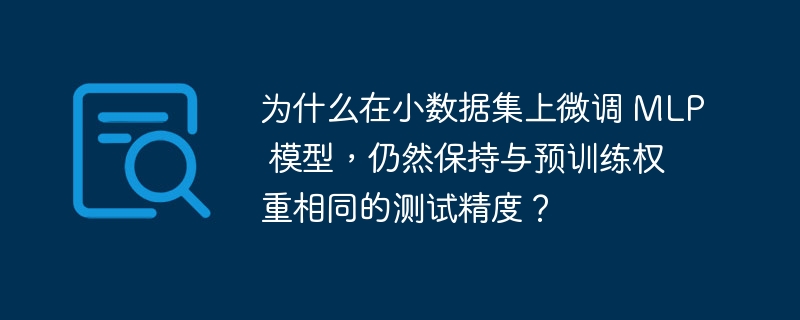 为什么在小数据集上微调 mlp 模型，仍然保持与预训练权重相同的测试精度？