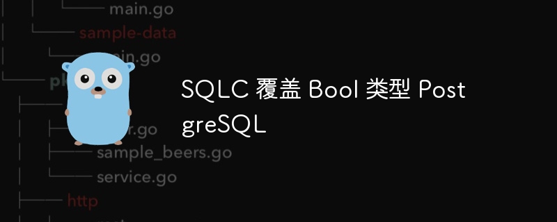 sqlc 覆盖 bool 类型 postgresql
