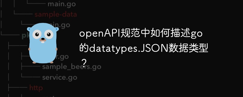 openapi规范中如何描述go的datatypes.json数据类型？
