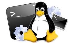 探秘 Linux 系统中的 uname 命令