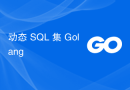 动态 SQL 集 Golang