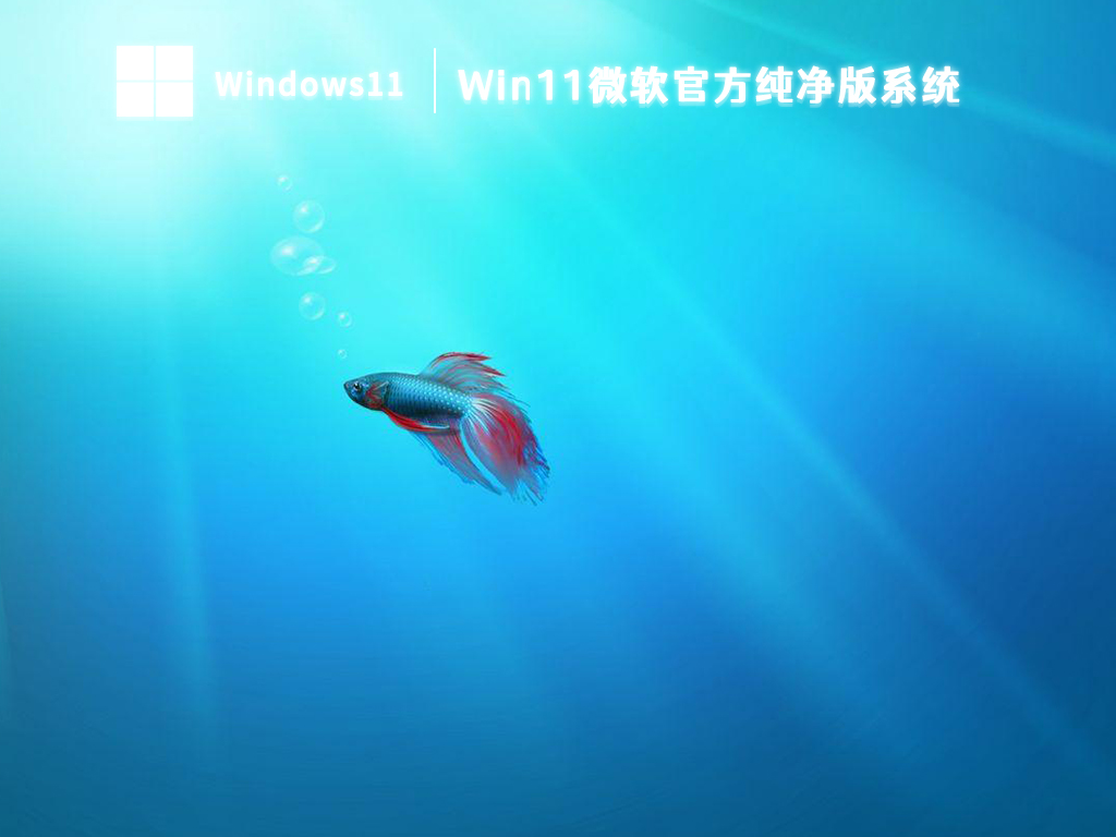 笔记本专用Win11系统下载（宏碁、惠普、华硕、戴尔、联想）