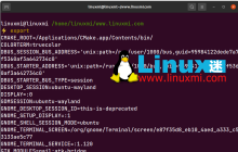 掌握 Linux 环境变量,轻松提升工作效率