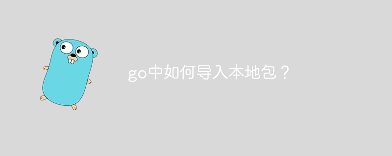 Go에서 로컬 패키지를 어떻게 가져오나요?