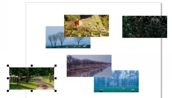 CorelDRAW怎么批量修改图片大小 快速修改方法教程