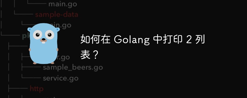 如何在 Golang 中打印 2 列表？