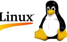 轻松掌握Linux查询命令