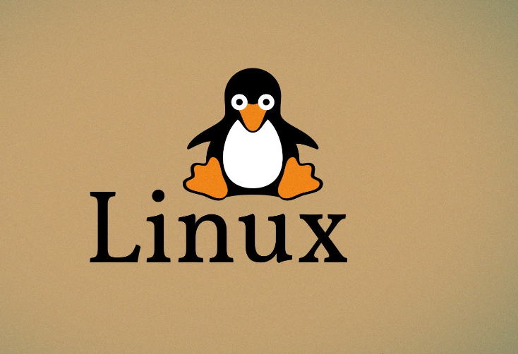 Linux系统中/dev/shm目录的奥秘