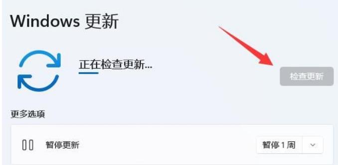 win11百度云盘打不开怎么办？win11百度云盘打不开问题解析