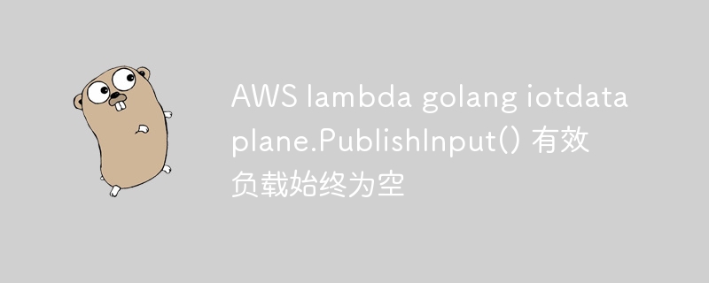 aws lambda golang iotdataplane.publishinput() 有效负载始终为空