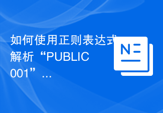 如何使用正規表示式解析'PUBLIC001”等檔案名稱格式？