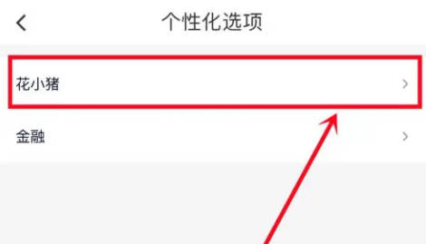 So reisen Sie mit Hua Xiaozhu und empfohlenen Automodellen