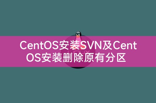 CentOS installation SVN and CentOS installation deletion of the original partition