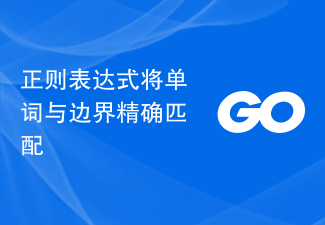 単語を境界に正確に一致させる正規表現