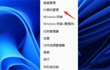 win11键盘没坏就是打不了字怎么办？win11键盘没坏就是打不了字问题