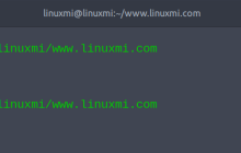 如何在 Linux 上 HTTPie 与 HTTP Prompt 安装和使用