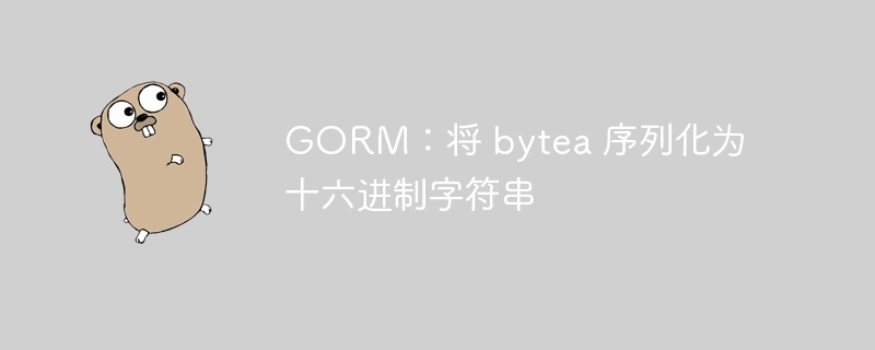 gorm：将 bytea 序列化为十六进制字符串