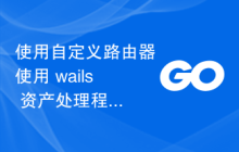 使用自定义路由器使用 wails 资产处理程序时出现问题