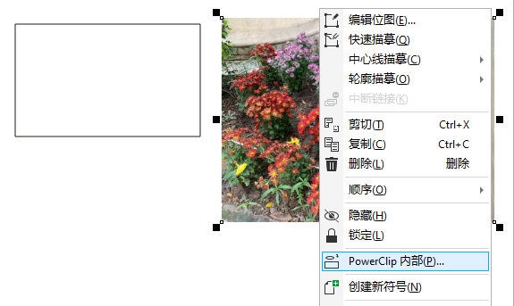 CorelDRAW怎么进行原位图片替换 更换方法教程