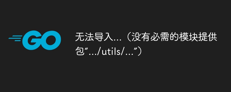 无法导入...（没有必需的模块提供包“.../utils/...”）