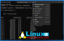 WSL还是标准Linux发行版？Windows系统上使用Linux的最佳方案