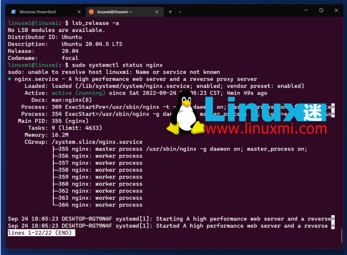 WSL atau pengedaran Linux standard? Cara terbaik untuk menggunakan Linux pada sistem Windows