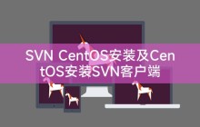 SVN CentOS安装及CentOS安装SVN客户端