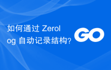 如何通过 Zerolog 自动记录结构？