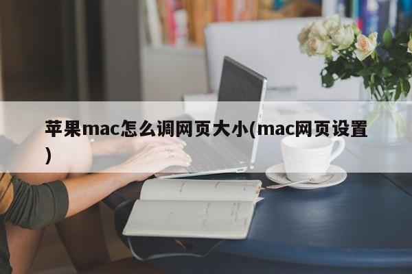 苹果mac怎么调网页大小(mac网页设置)