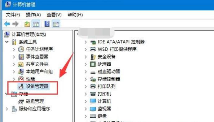 Win11移动硬盘不显示怎么办？Win11移动硬盘不显示问题解析