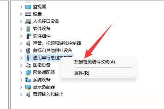 Win11移动硬盘不显示怎么办？Win11移动硬盘不显示问题解析