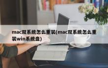 mac双系统怎么重装(mac双系统怎么重装win系统盘)