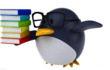 让Linux服务器成为Go开发者的好帮手