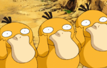 大白菜系统有几个文件夹