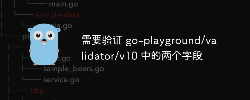 需要验证 go-playground/validator/v10 中的两个字段